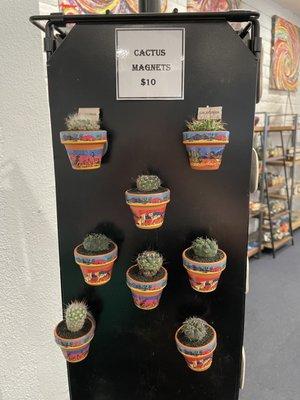 Cactus magnets