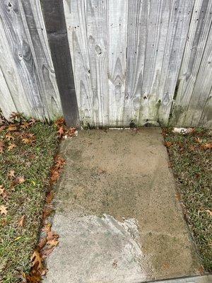 Algae growing on concrete and fence depreciates house and is a eyesore