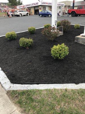 Mulching job