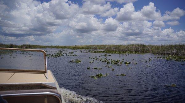 Everglades