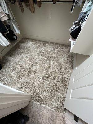 Master closet carpet