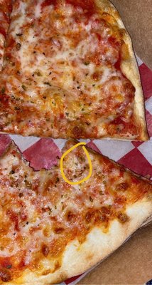 Dino's pizza with a hair in it