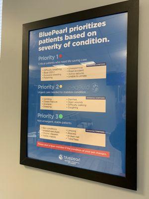 BluePearl prioritizes patients based on severity of condition