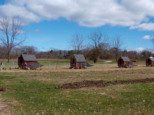 Chicken coops