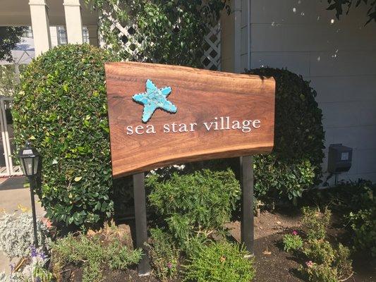 Welcome to Sea Star Village!