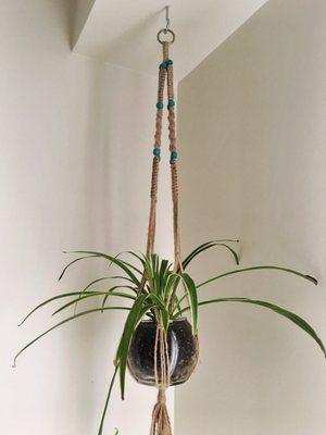 Macrame bought from Home Depot- cost me less than $5!!