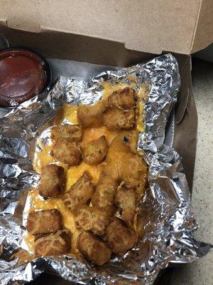 $4.25 for cheesy tots. I ate one, so there were 19 total. Do you think 5 of these tots are worth $1.12?