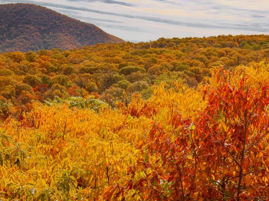 Shenandoah National Park