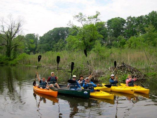 Sultana Education Foundation Public Paddle