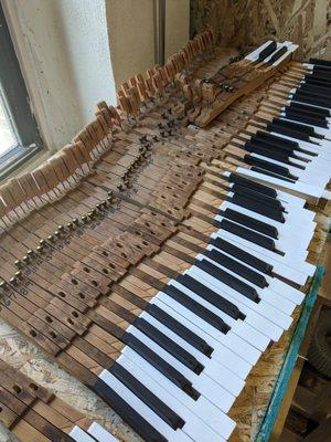 Piano keys.