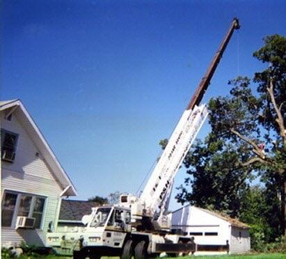 Alexander Tree Service