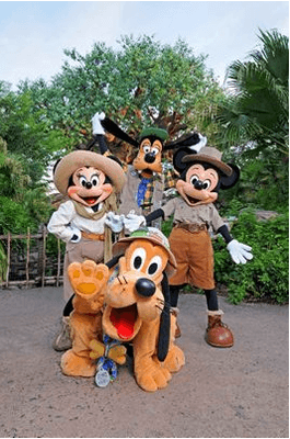 Animal Kingdom Characters!