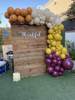 Backdrop with Balloon Garland