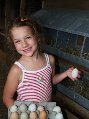 Collecting farm fresh eggs from our hen house.