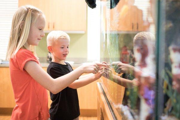 Kids looking at our fish tank.