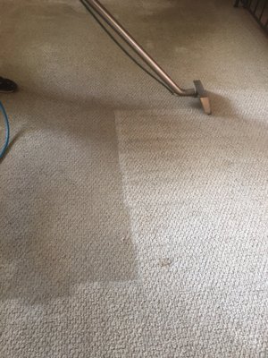 Before and if cleaning a customers