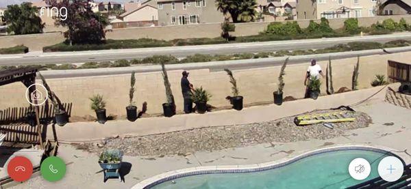 Pool and new construction landscaping