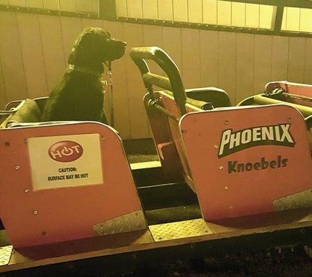 Oliver riding the roller coaster at Knoebels