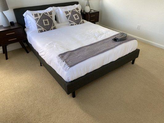 Cleaned carpets in Master Bedroom