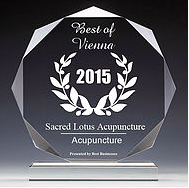 2015 Best of Vienna Business Award for Acupuncture