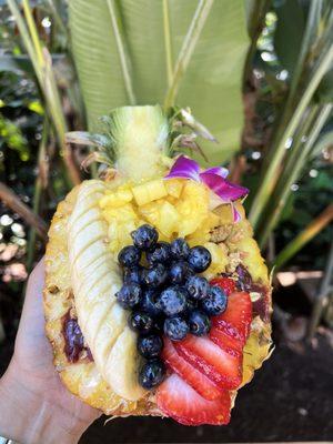 Honolulu Pineapple