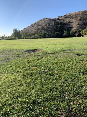 Serrano Park's Grass Field (Orange, CA)