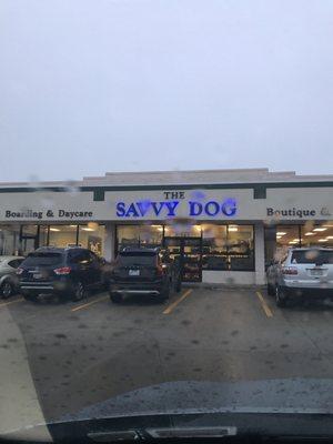 The Savvy Dog