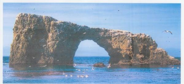 Anacapa island, a clear look to the window of the sea.