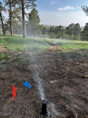 First test on a new irrigation system!