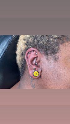 Vertical Industrial, Anti-Tragus, Transversal Lobe, Double Helix