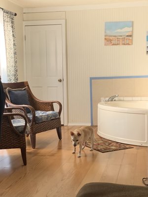 Hot tub room with a picture of our dog.