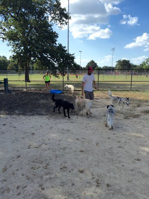 I can teach you how to have a better experience at a dog park.