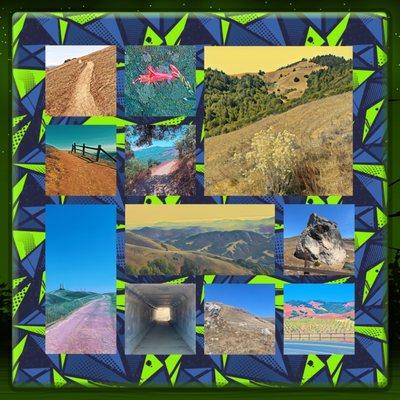 Montage of images from Big Rock Trailhead