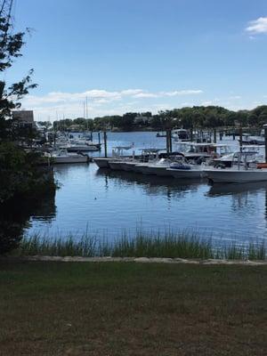 Pinkney Park Water View