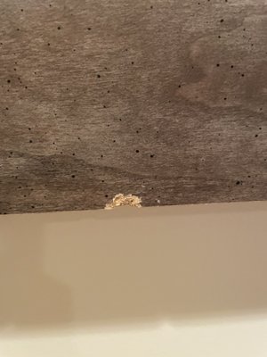 Bed frame damaged