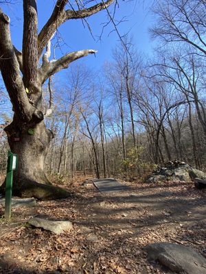 Crane Hill Disc Golf