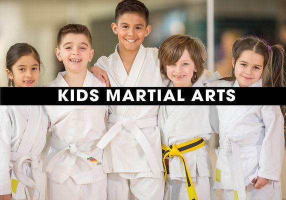 American Martial Arts / Krav Maga Force Florida