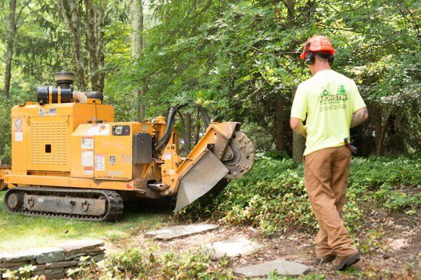 Removing a Stump! Another Happy Customer!