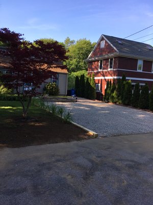 New driveway and Japanese Maple transplant