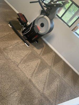 Oxi Fresh Carpet Cleaning