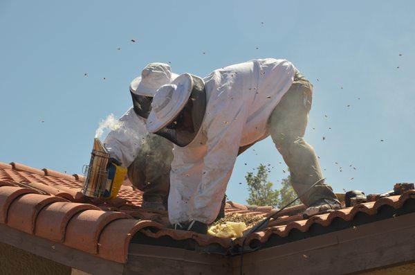 Roof removal