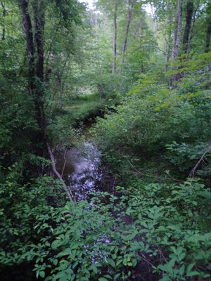 View from the walkway bridge