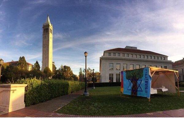 Berkeley Hillel Sukkot BBQ on campus Memorial Glade