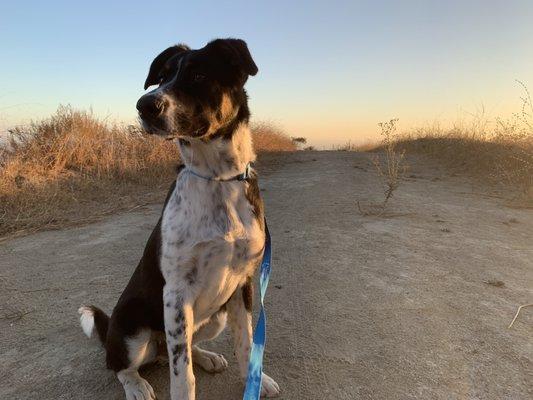 Clyde went for a run the afternoon we met!