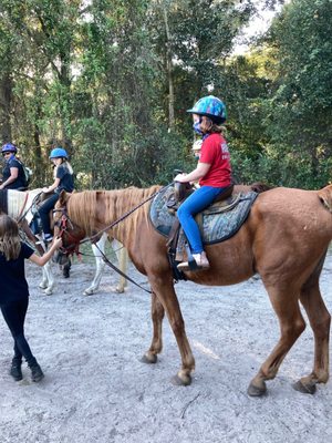 Tango is a cool horse.