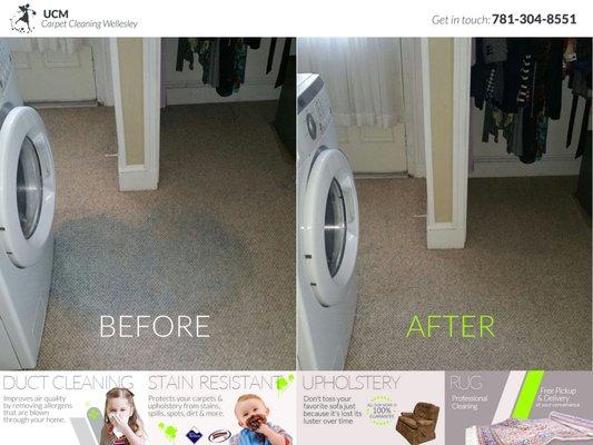 Carpet Cleaning Before & After