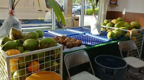 Coconuts by the bins!