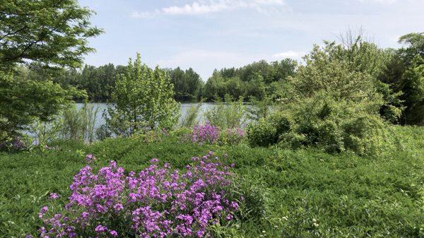 Prairie Oaks Metro Park