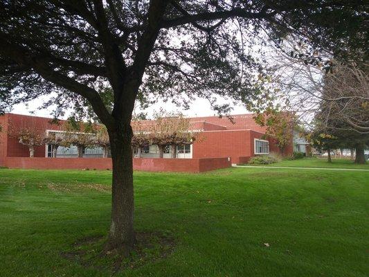 Exterior - Macdonald Avenue side and Children's Room courtyard