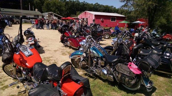 More bikes to view on this sunny day